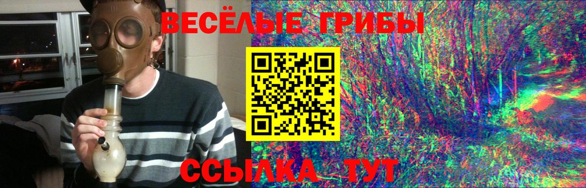 Псилоцибиновые грибы Cubensis  где найти   Вход с VPN  Бугуруслан  Псилоцибиновые грибы Cubensis 